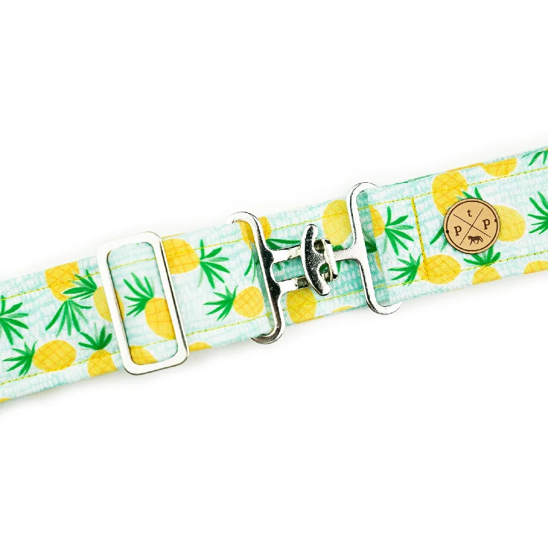 Pineapple Belt