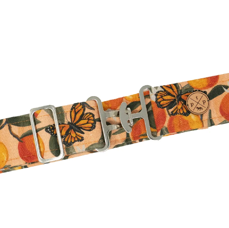 Orange Garden Belt